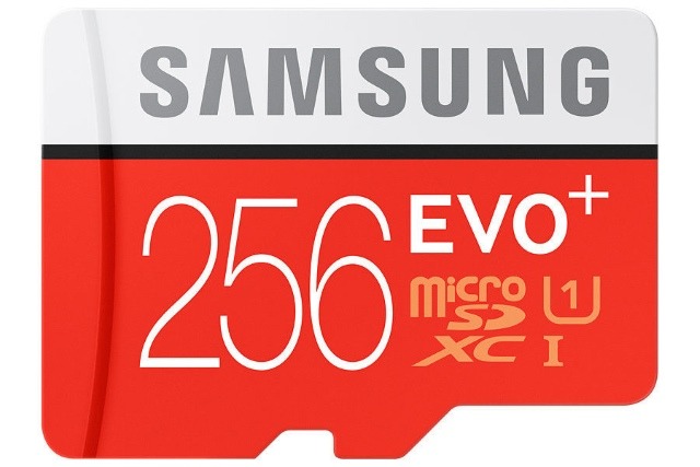 Samsung EVO + 256GB